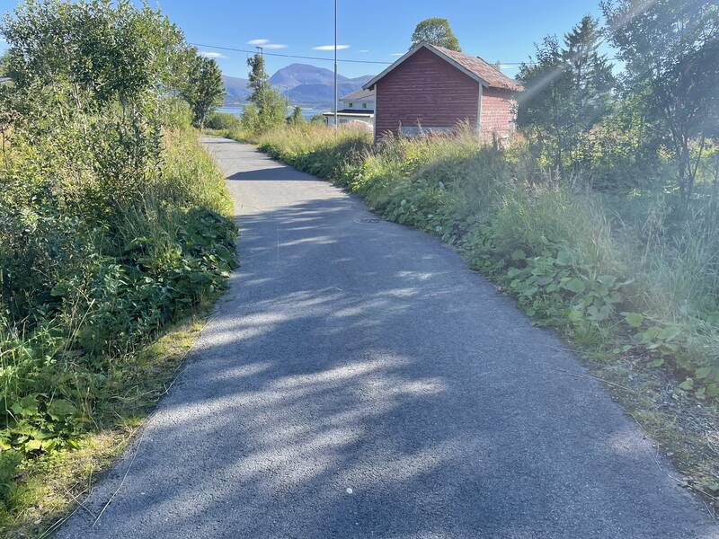 Saksbilde
