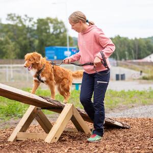 Mjøsa Hundepark