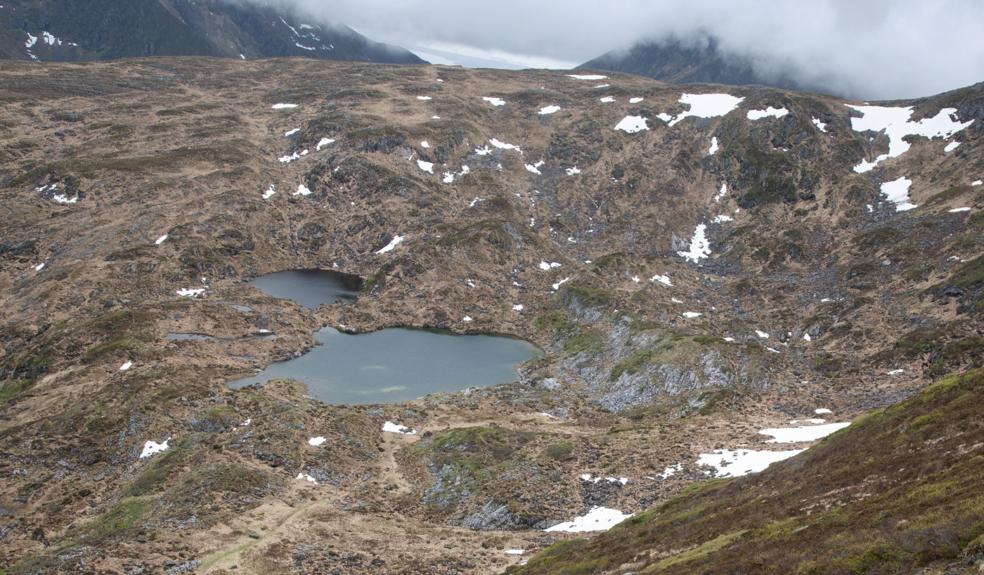 2012hVann.jpg