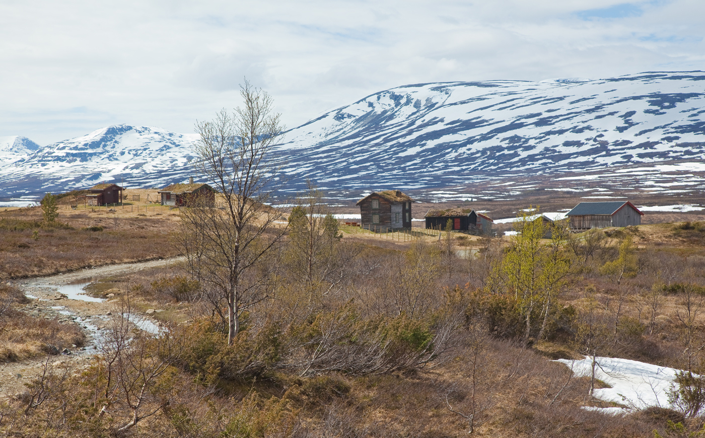 2010aSetrer.jpg