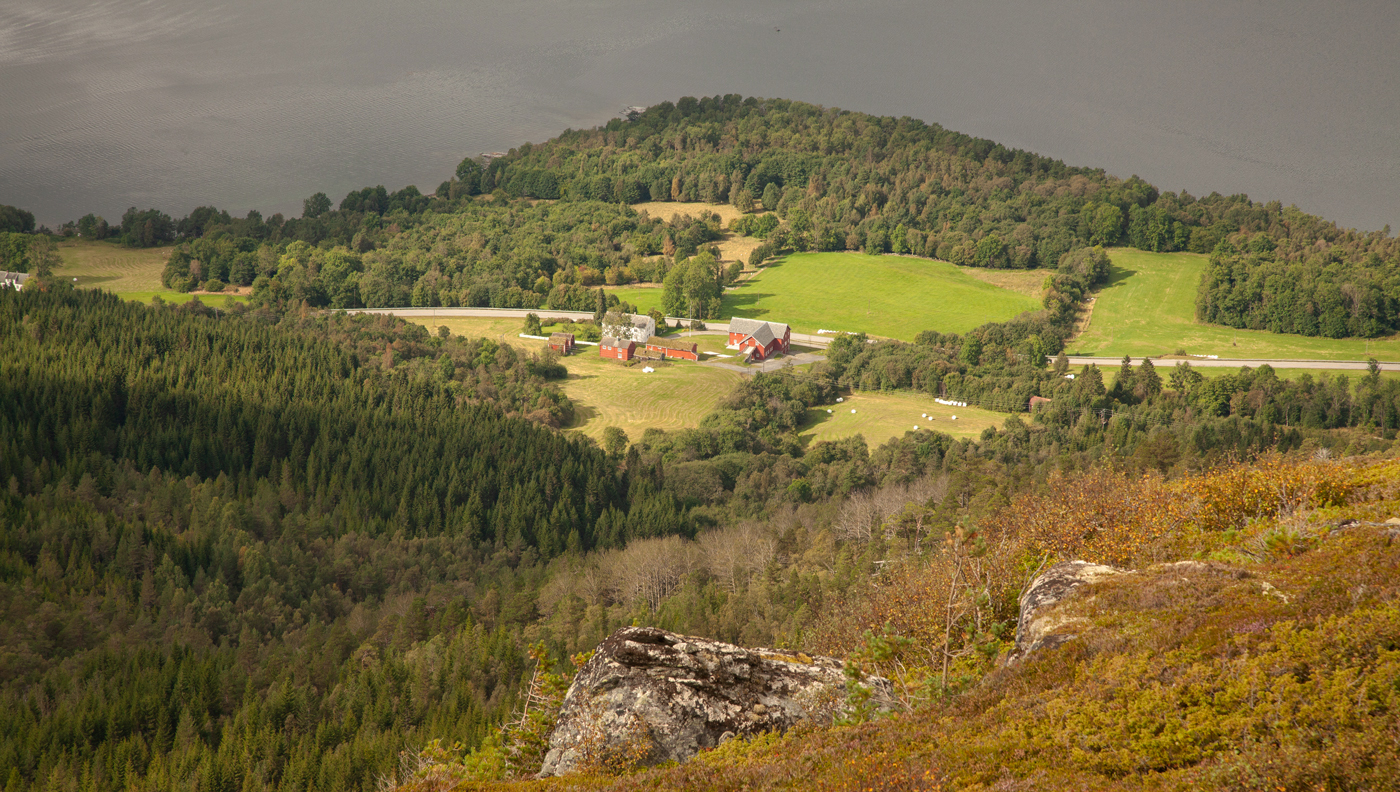 110831bGard.jpg