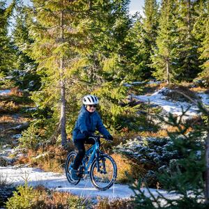 Foto av far og sønn på sykkel i skogen på snøføre