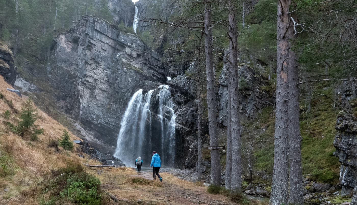 221105eFossen.jpg