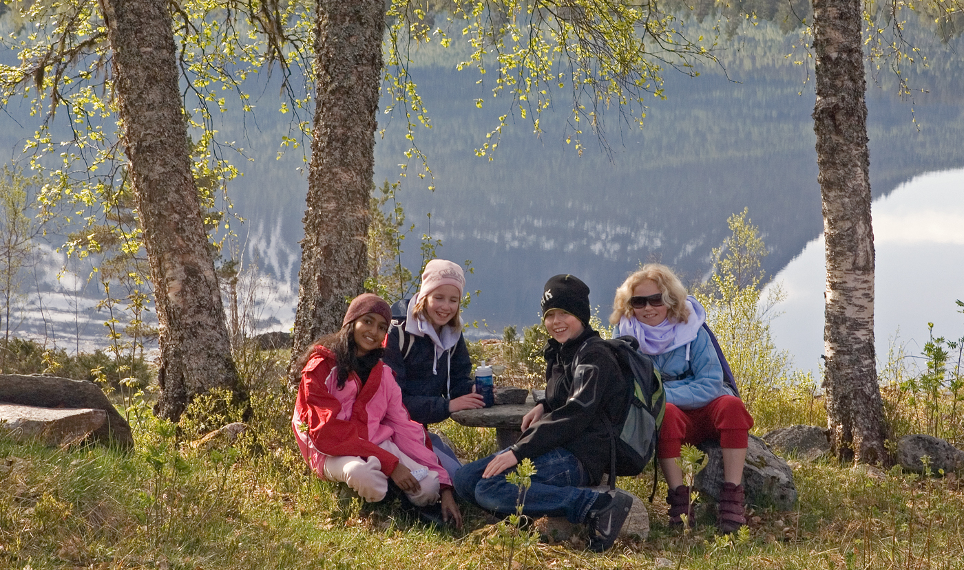 K2bElever.jpg