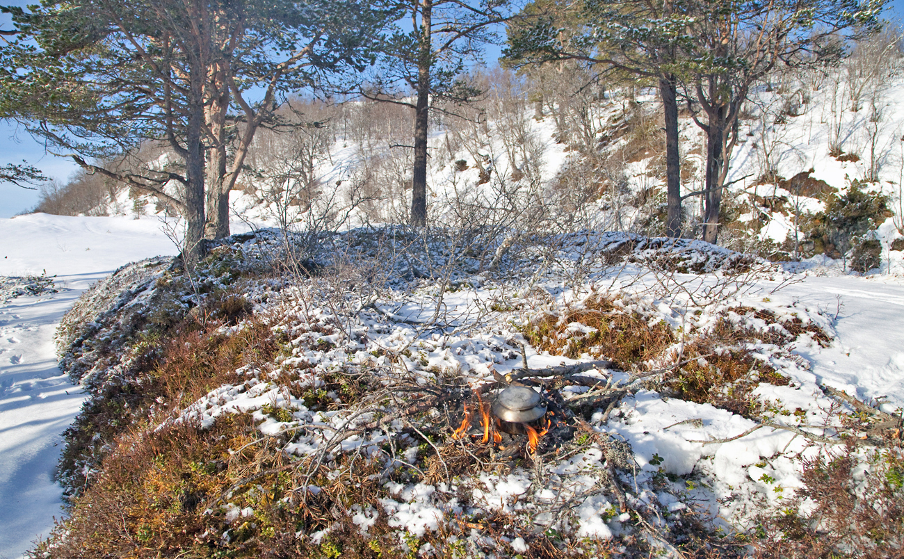 g003Bål17.jpg