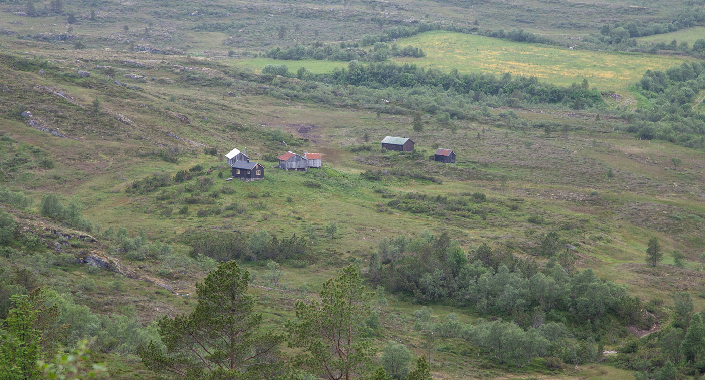 150713dSeterpl.jpg