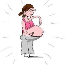 gravid dame