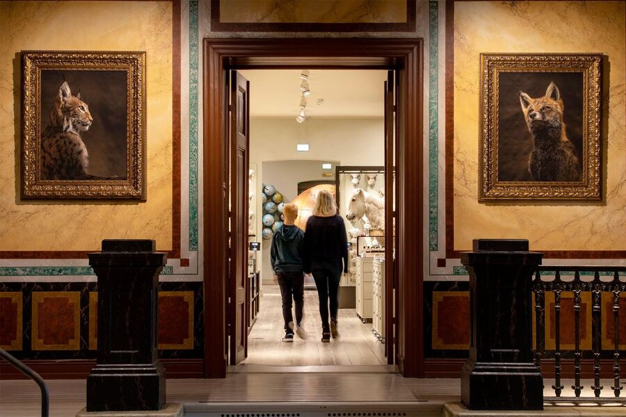 Beste innendørsprosjekt: Universitetsmuseet i Bergen - Naturhistorisk Museum