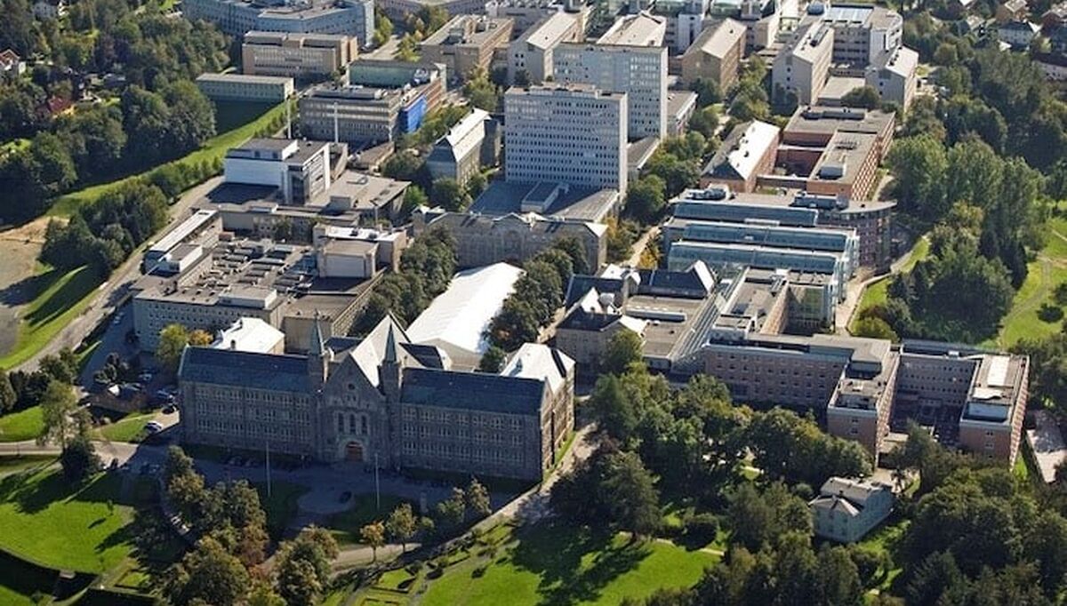 ntnu
