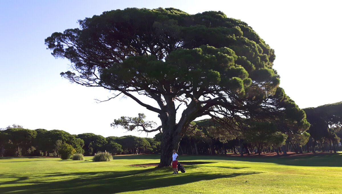 han-vil-ha-alt-riktig-med-en-gang-med-erfaring-fra-golf-2