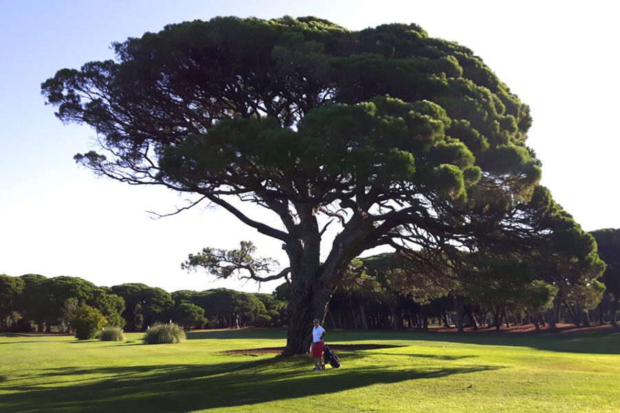 han-vil-ha-alt-riktig-med-en-gang-med-erfaring-fra-golf-2