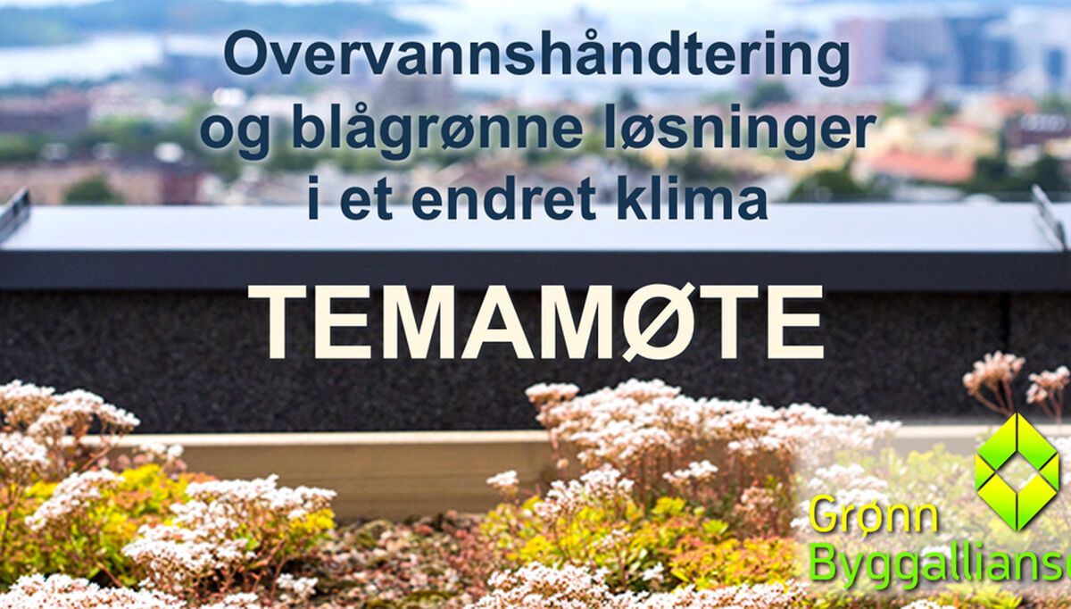 overvannshandtering-og-blagronne-losninger-i-et-endret-klima-2