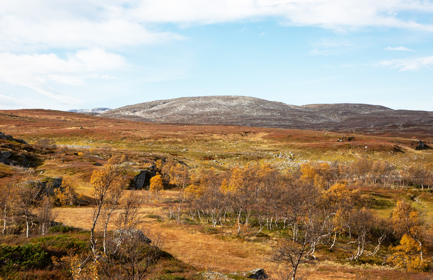 230926gGråfjellet.jpg