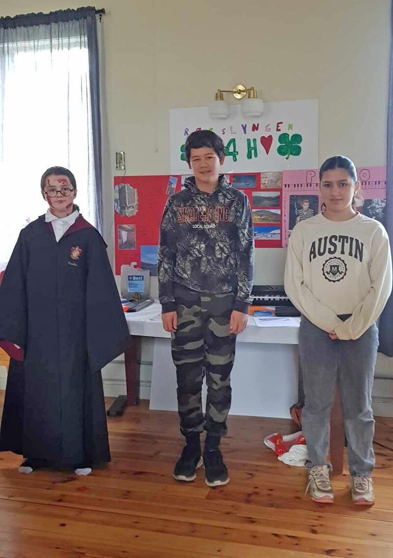 Røsslyngen 4H - Haustfest