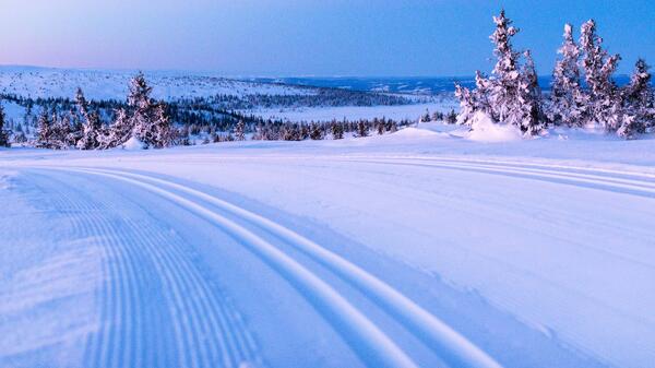 Foto av skiløyper på Sjusjøen