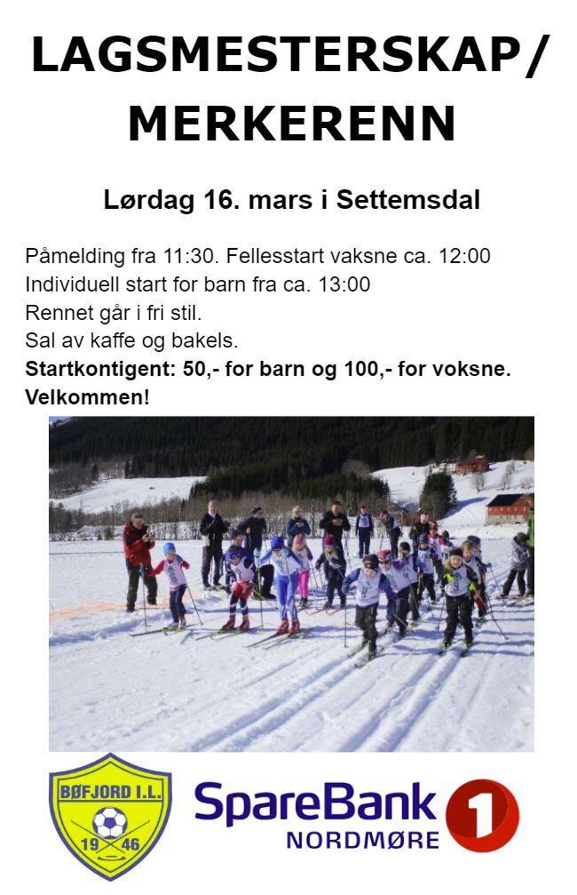 Plakat lagsmesterskap