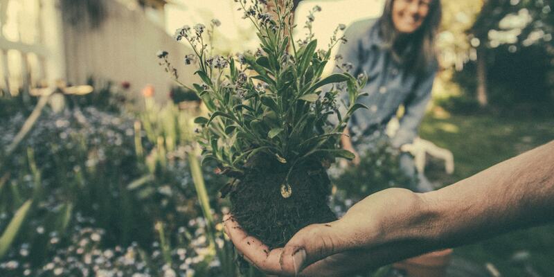 En person holder en plante med jord, som illustrasjon for dugnad i sameiet. En kvinne smiler i bakgrunnen.