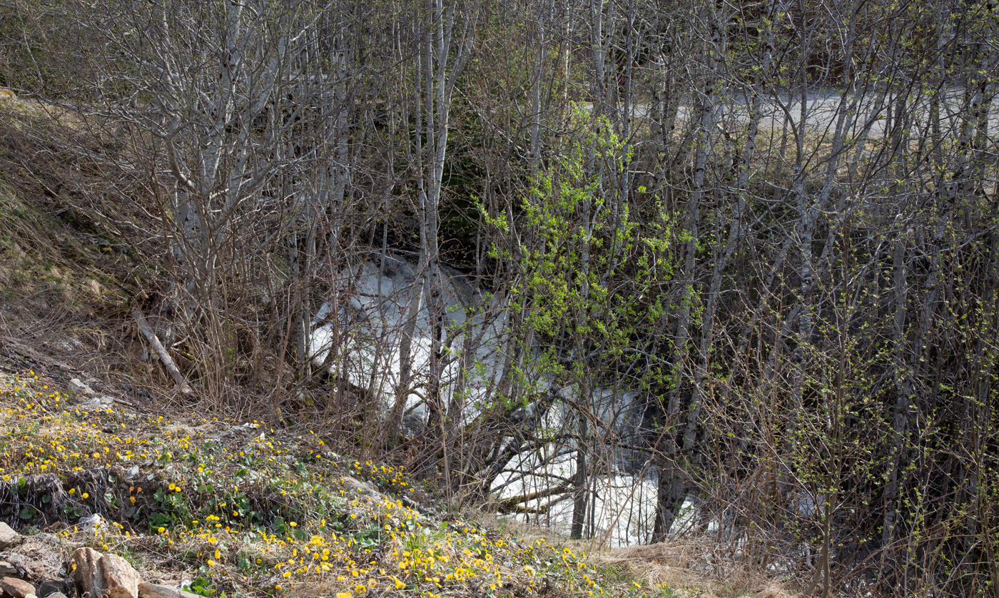 240501aStart.jpg