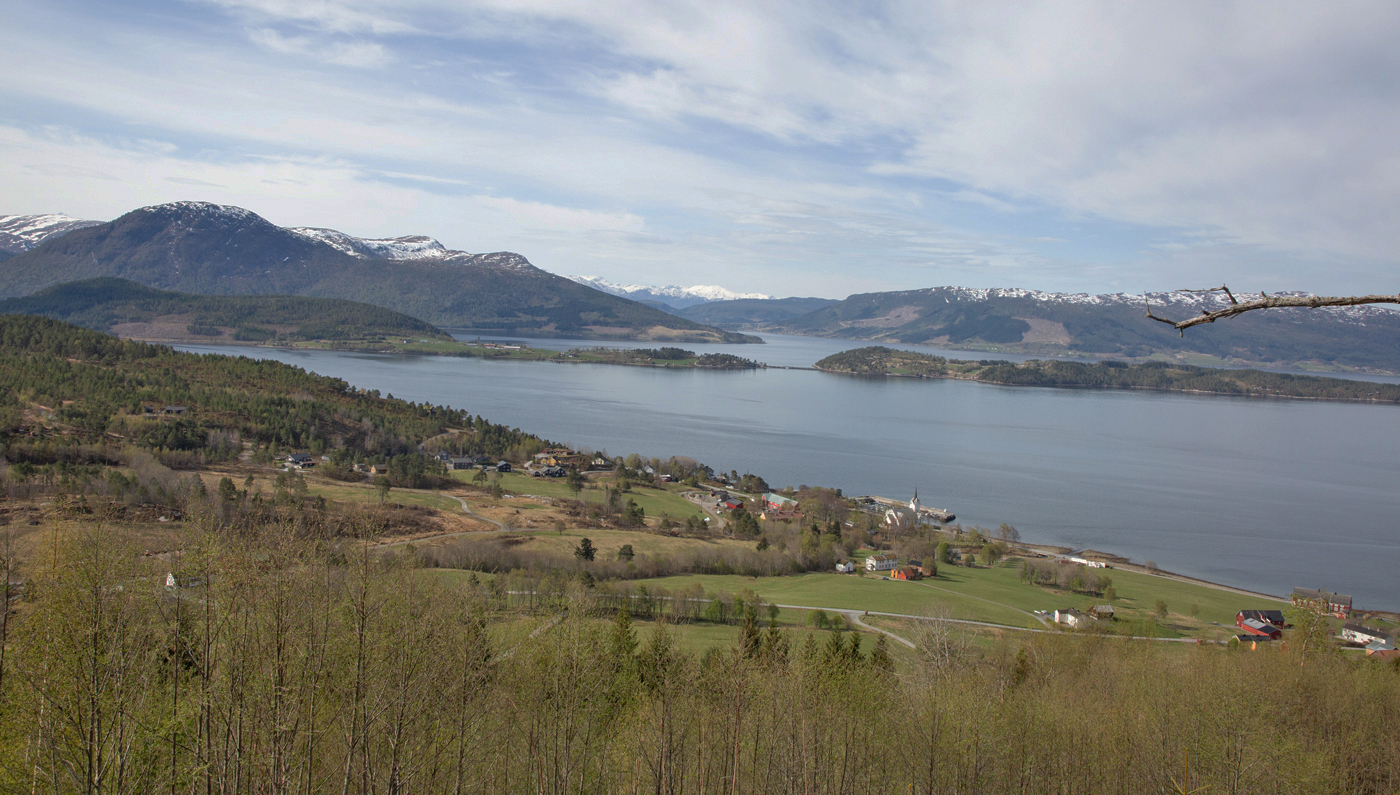 240501bStangvika.jpg