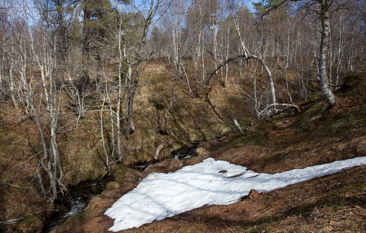 240501fSnø.jpg