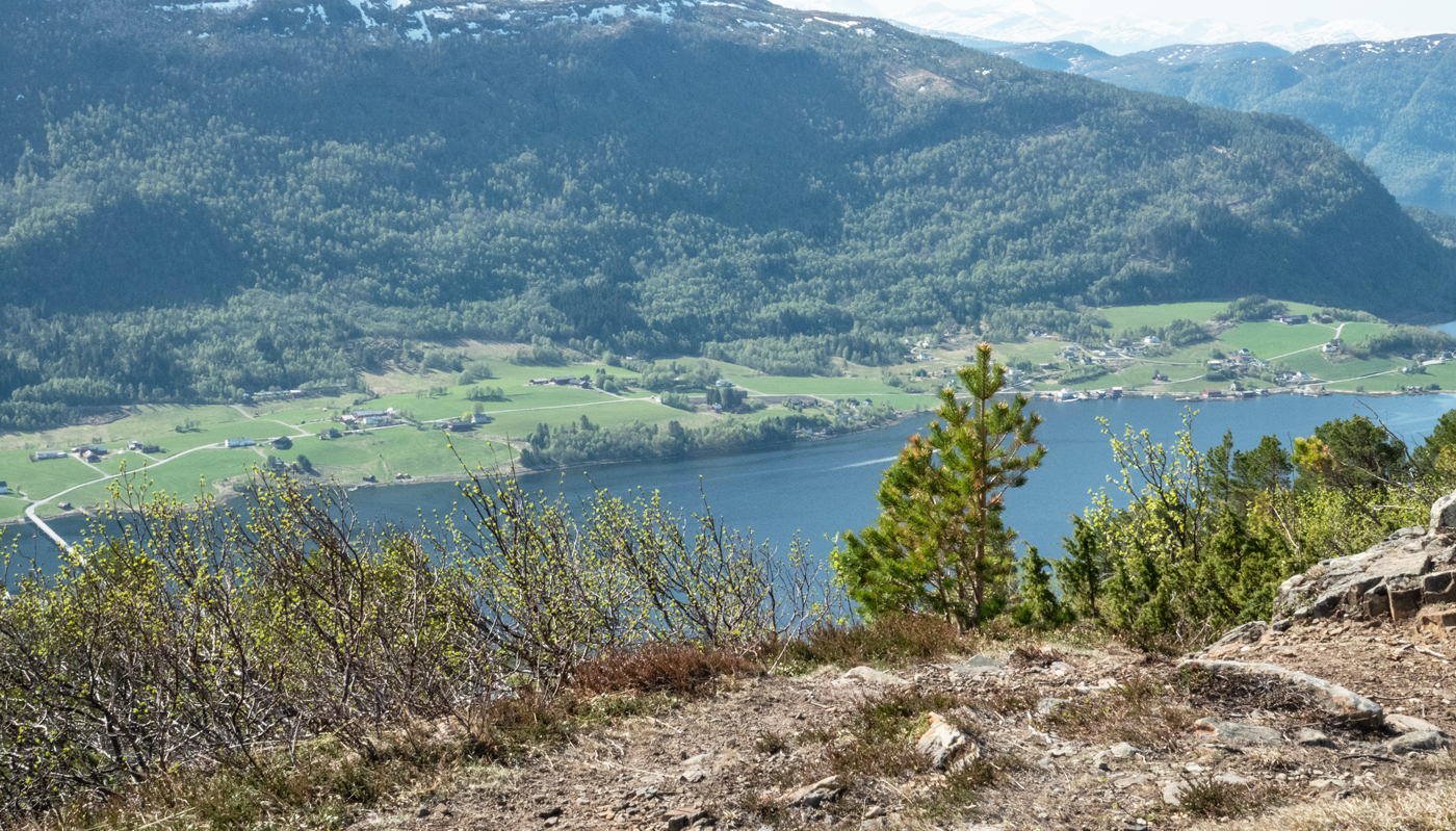 240505fBølandet.jpg