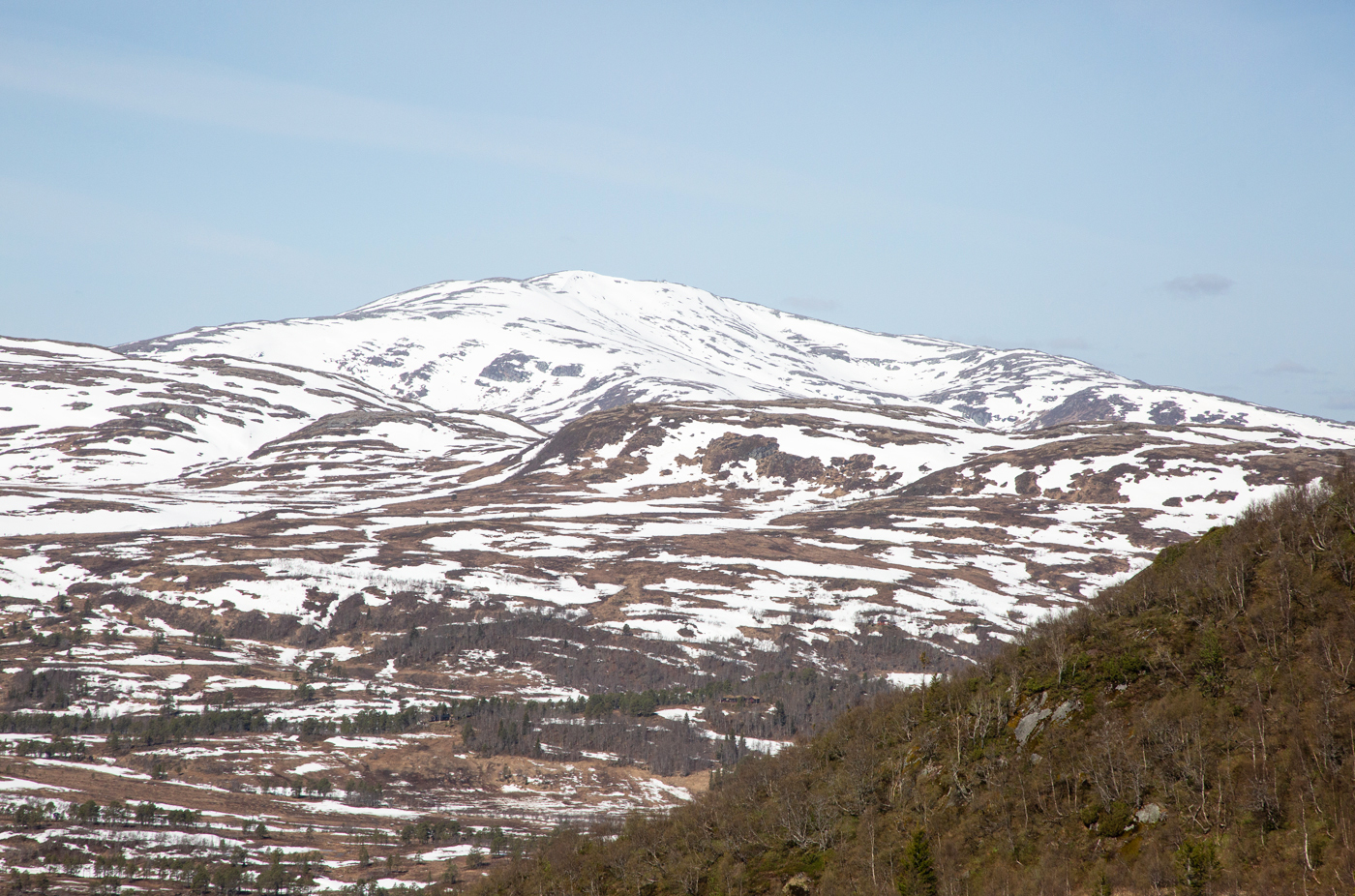 240510fRuten.jpg