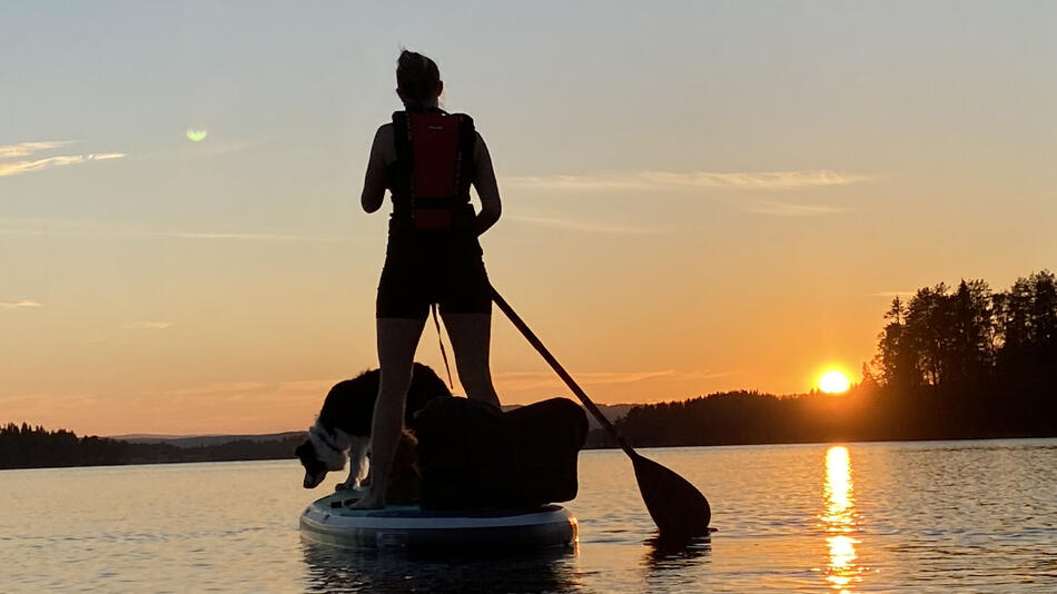 Dame på SUP med hund i solnedgang