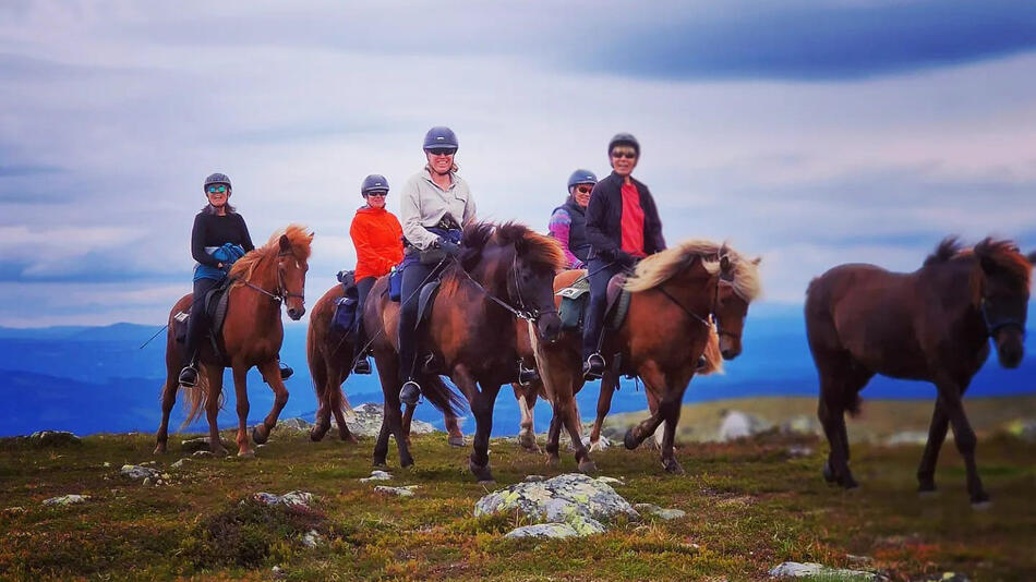 Bilde fra ridetur med islandshester