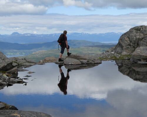 Foto: Robert Chruickshank Foto: Robert Chruickshank