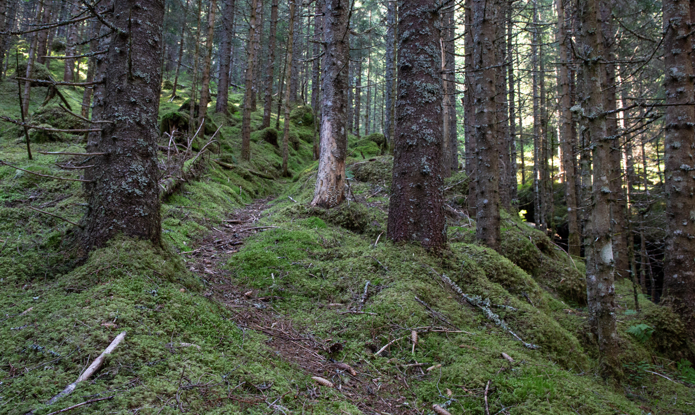 240719gSti.jpg
