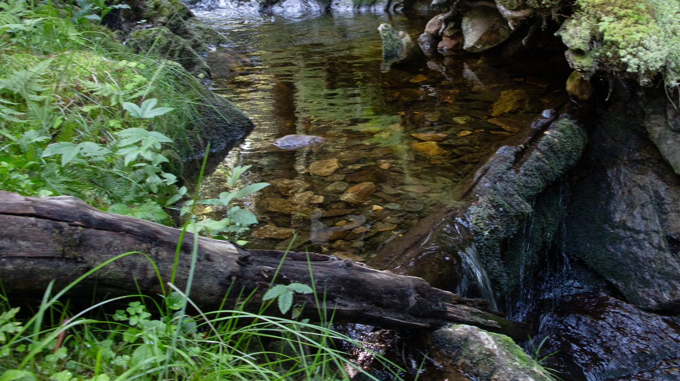 240719iStokk.jpg