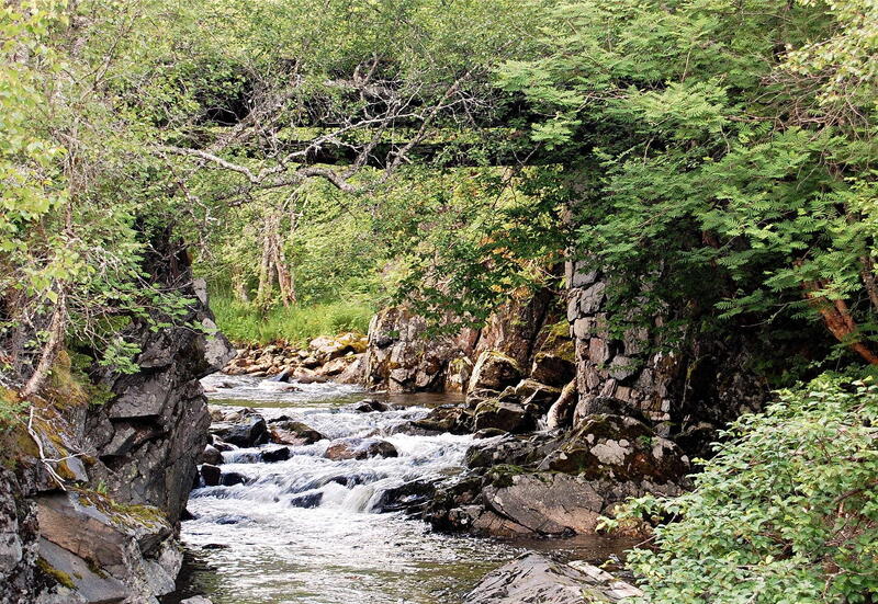 Fjell og fjord D