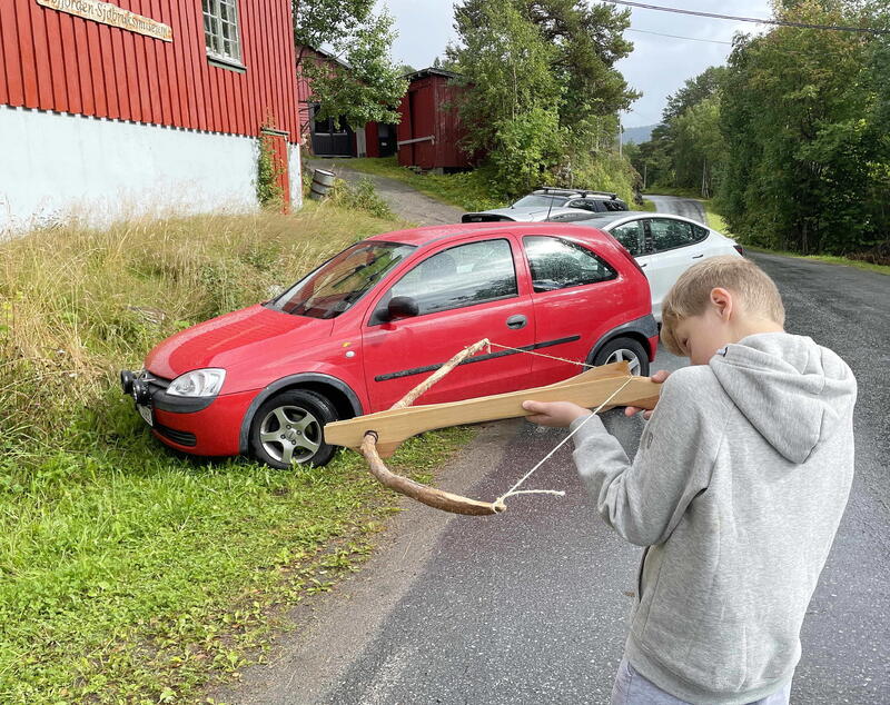 Hobbydag B