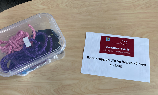 Skjermbilde 2024-08-29 074341