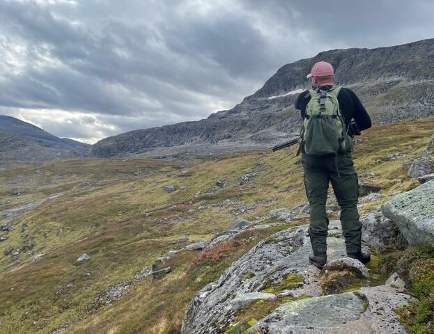 Fauskåfjellet