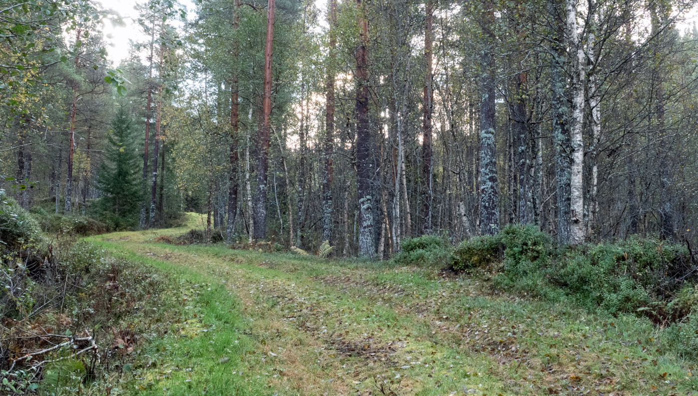 240926fVei.jpg