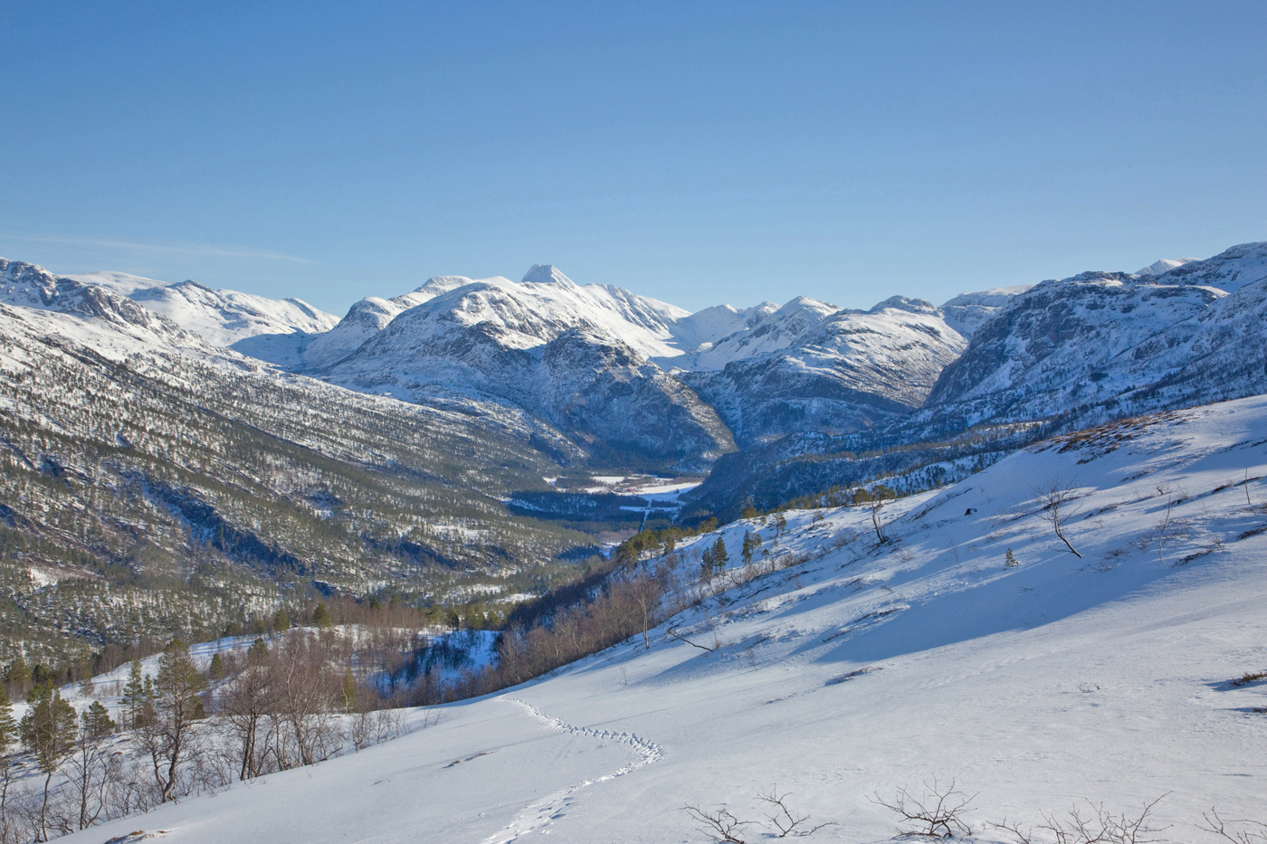 241207cSkispor.jpg