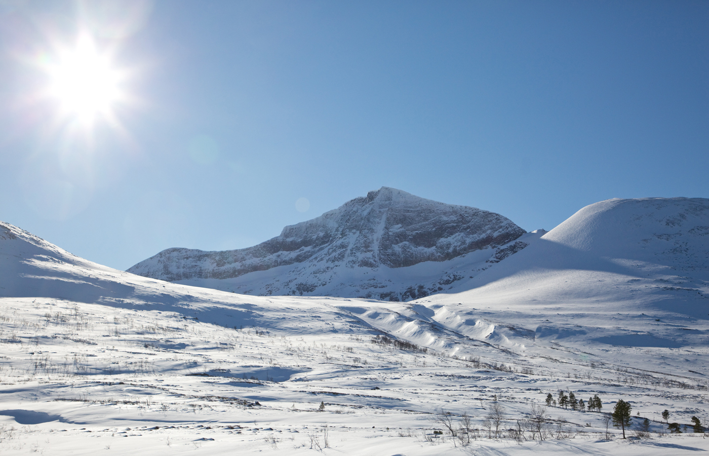 241207dSol.jpg