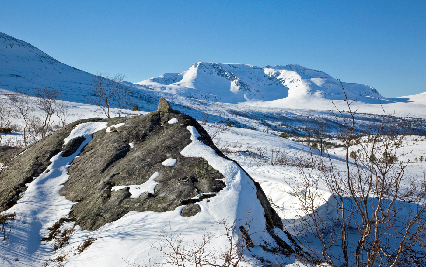 241207eTristeinan.jpg