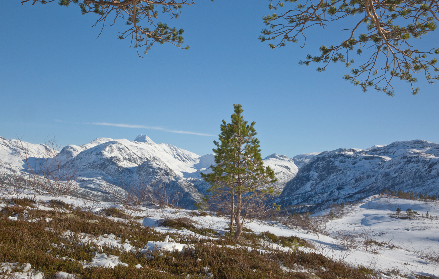 241207gØstover2.jpg