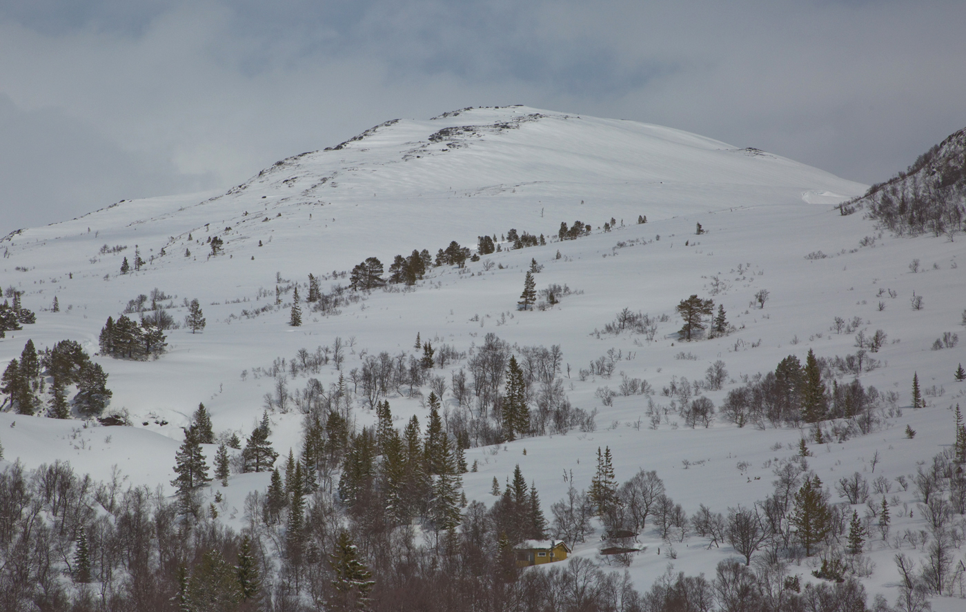 202000dStorfjellet.jpg