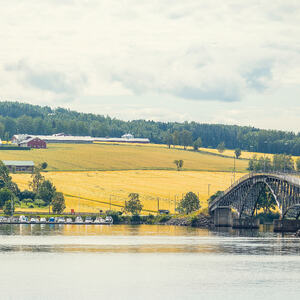 Foto av Nessundet bru