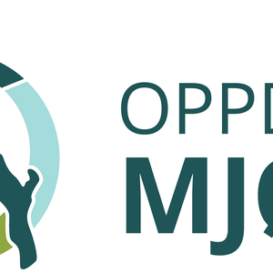 Logo Oppdrag Mjøsa