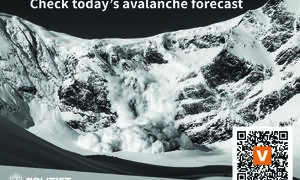 check todays avalanche forecast_skredversjon_TRYKK[1]