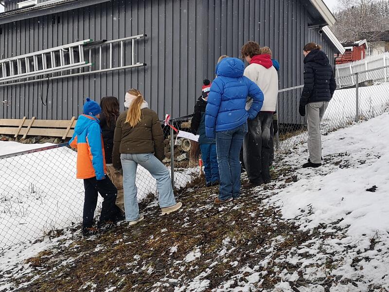 Bærekraftig utvikling 1103 2025 (4)