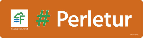 3848_Perletur_gronn - nett