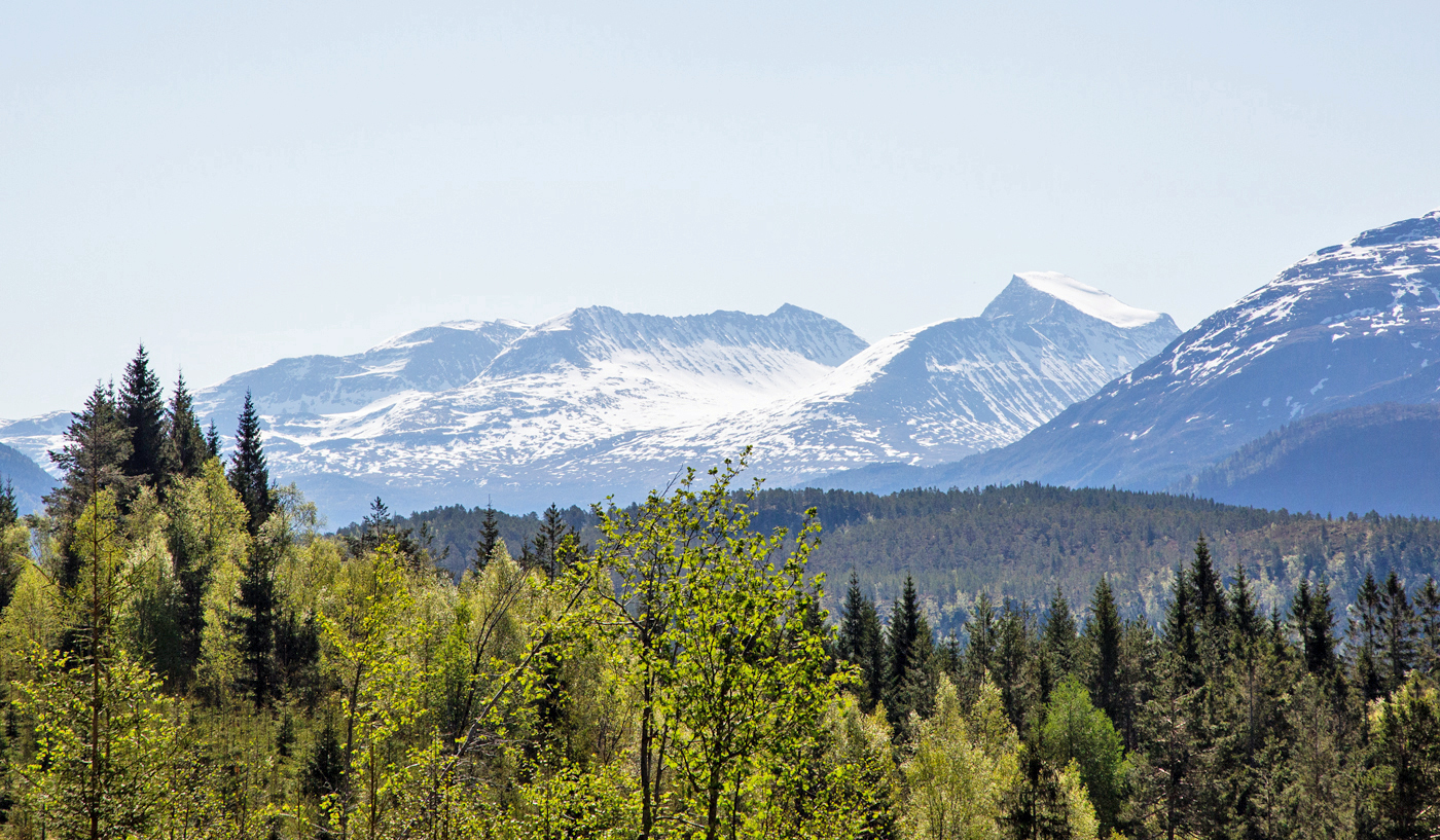 StangvikafSnøfjell.jpg