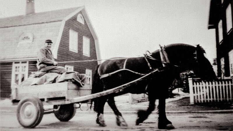 bilde av hest, kjerre og mann som kjører