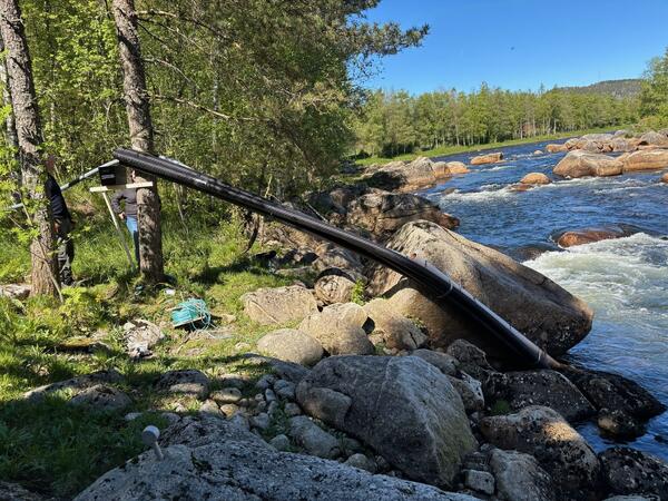 Foto: Alf Magne Midtbø Versland