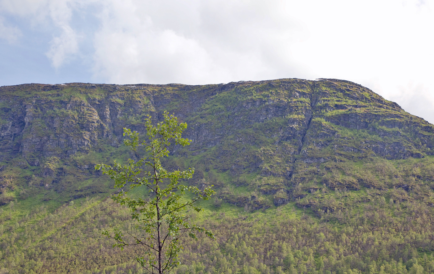 StoraFjellet.jpg